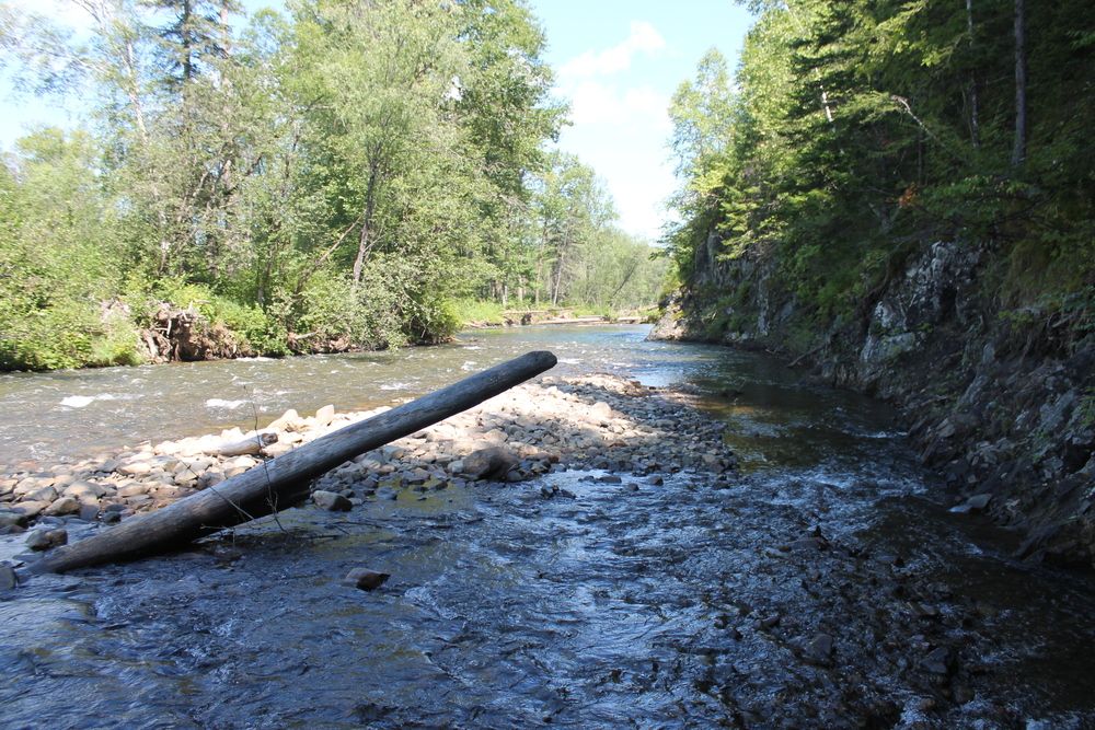 Photograph by Денис Птюшкин