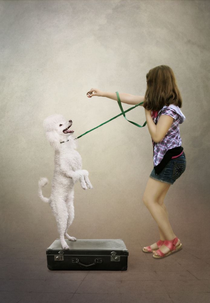 Фотография автора Маргарита Нижарадзе