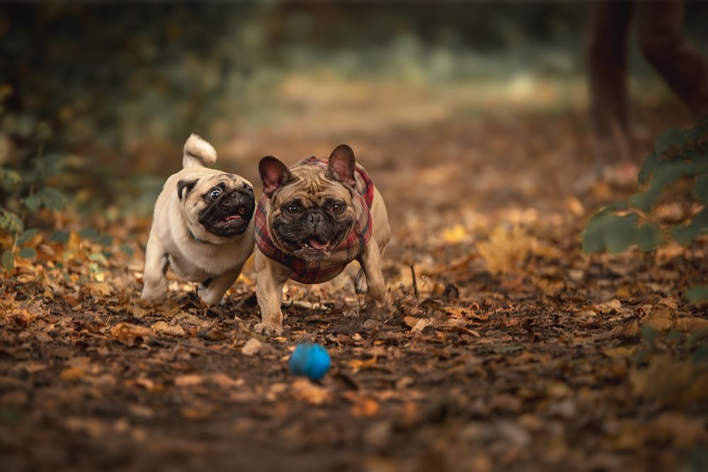 Photograph by Елена Самусенкова