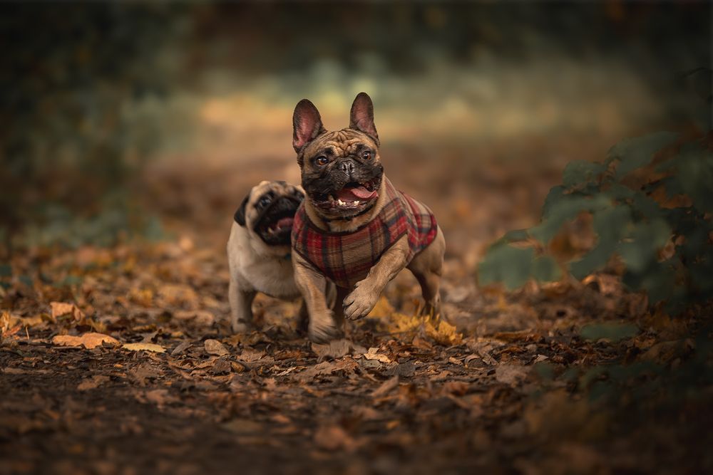 Photograph by Елена Самусенкова