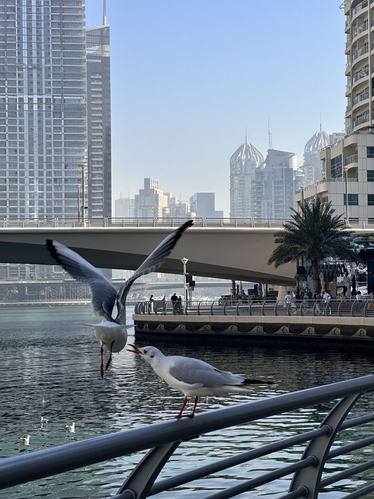 Photograph by Лилия Эссерт