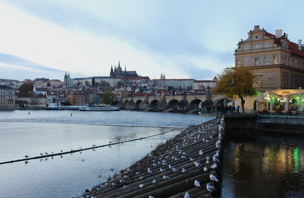 Photograph by ЮЛІЯ ПАВЛЕНКО