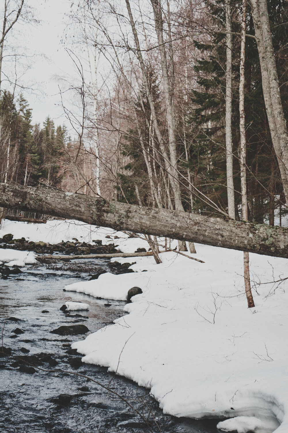 Photo #13306276