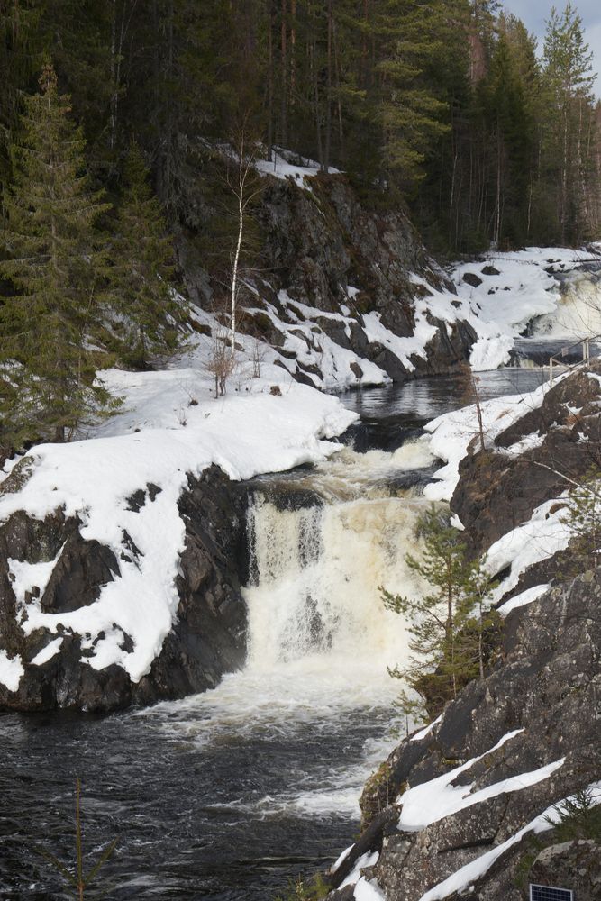 Photo #13306277