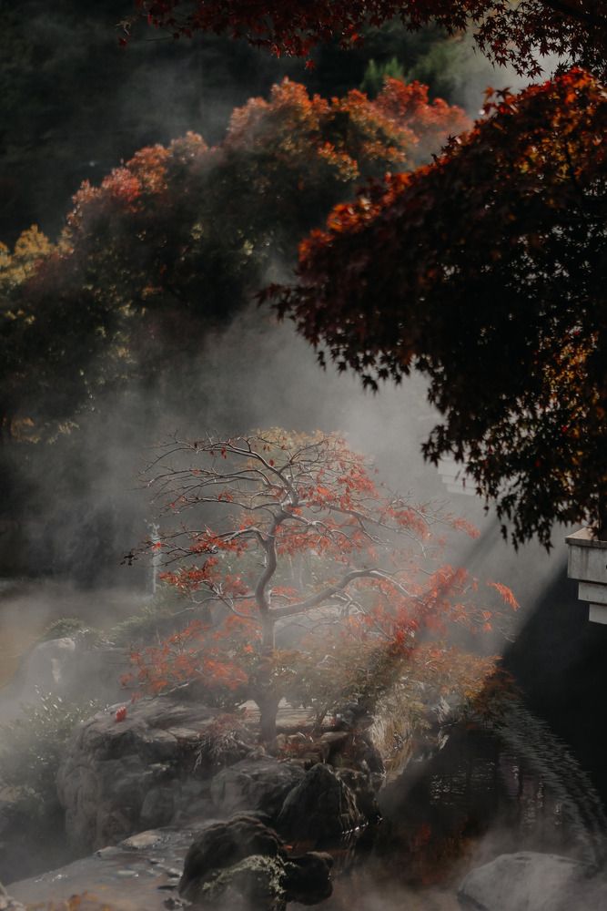 Photograph by Егор Голубкин