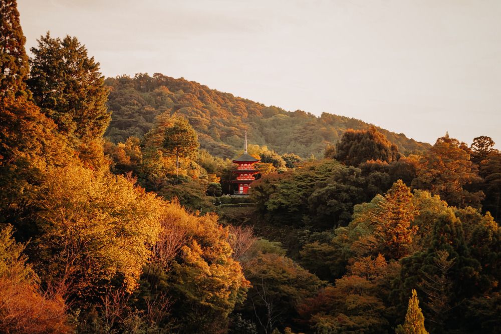 Photograph by Егор Голубкин