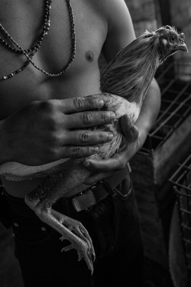 Photograph by Nicola Rocco