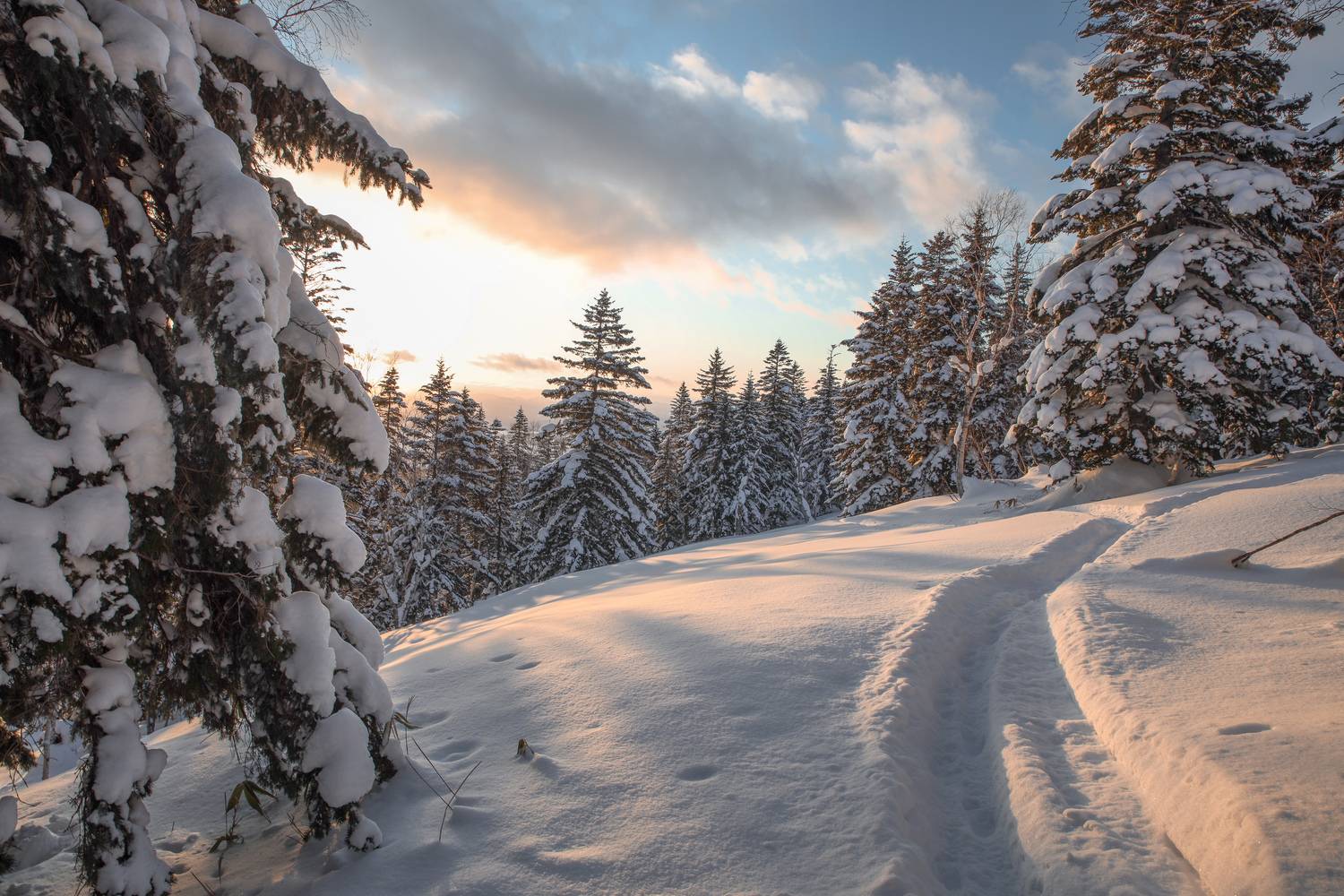 В закатных оттенках