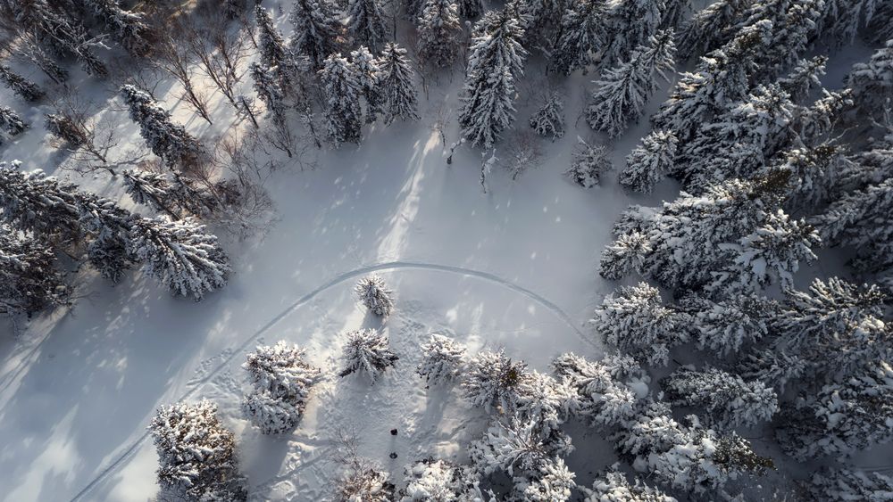 Photograph by Артем Удодов