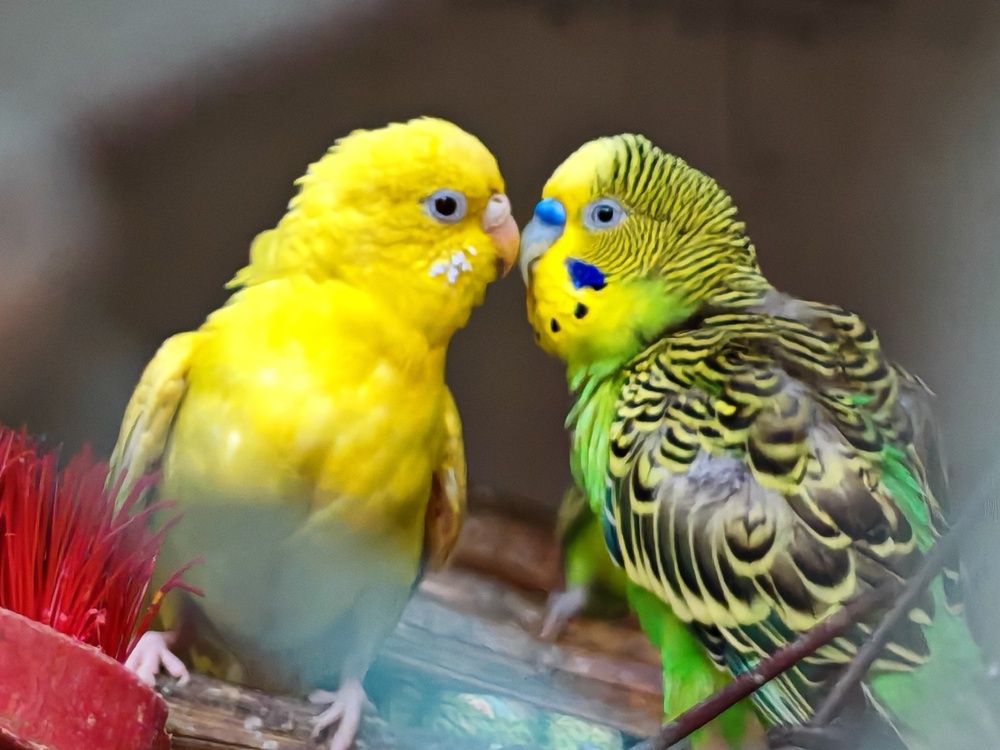 It\'s a little bit romance time.