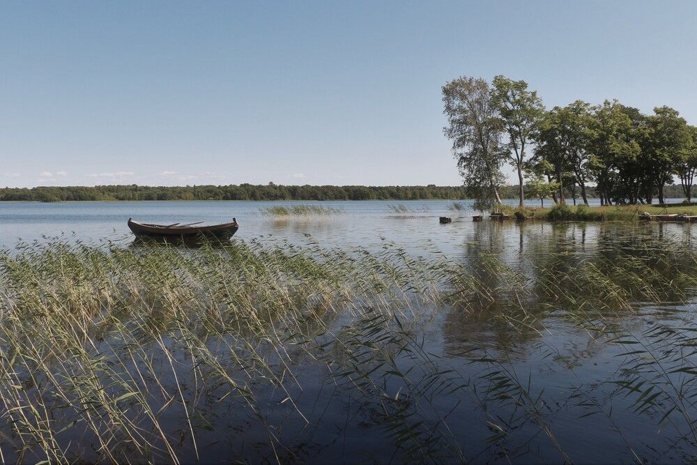 Photograph by Любовь Фёдорова