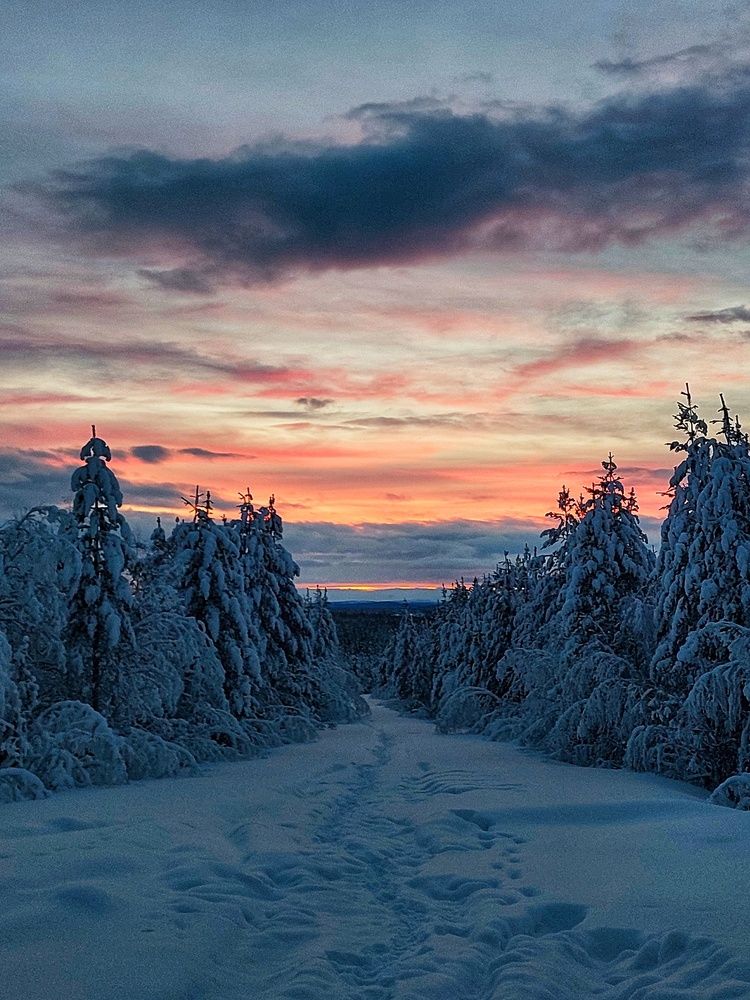 Photograph by Сергей Плаунов
