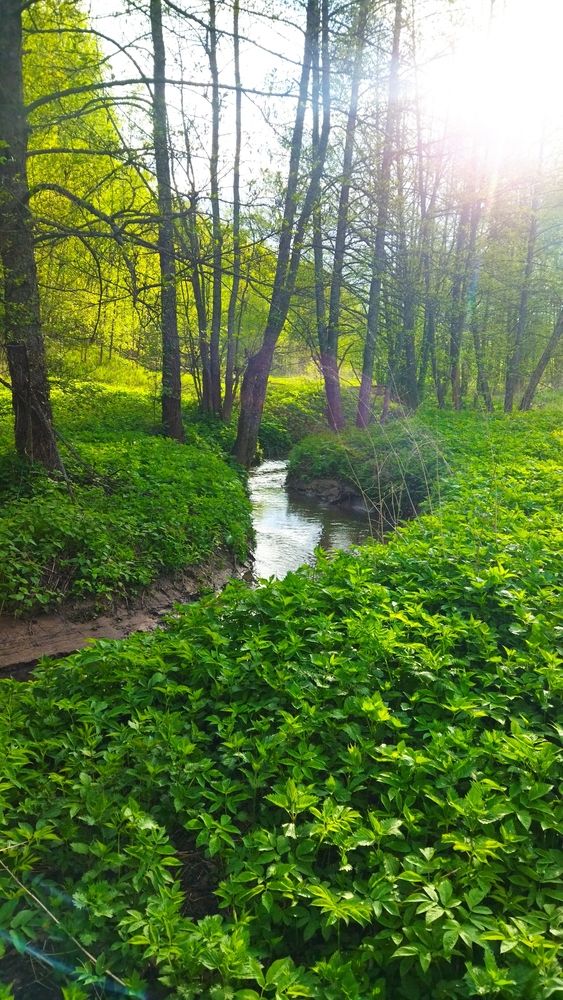 Photograph by Юлия Морозова