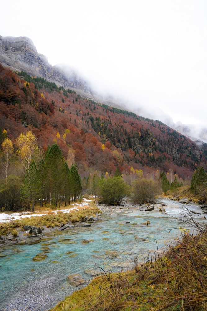La magia del Otoño