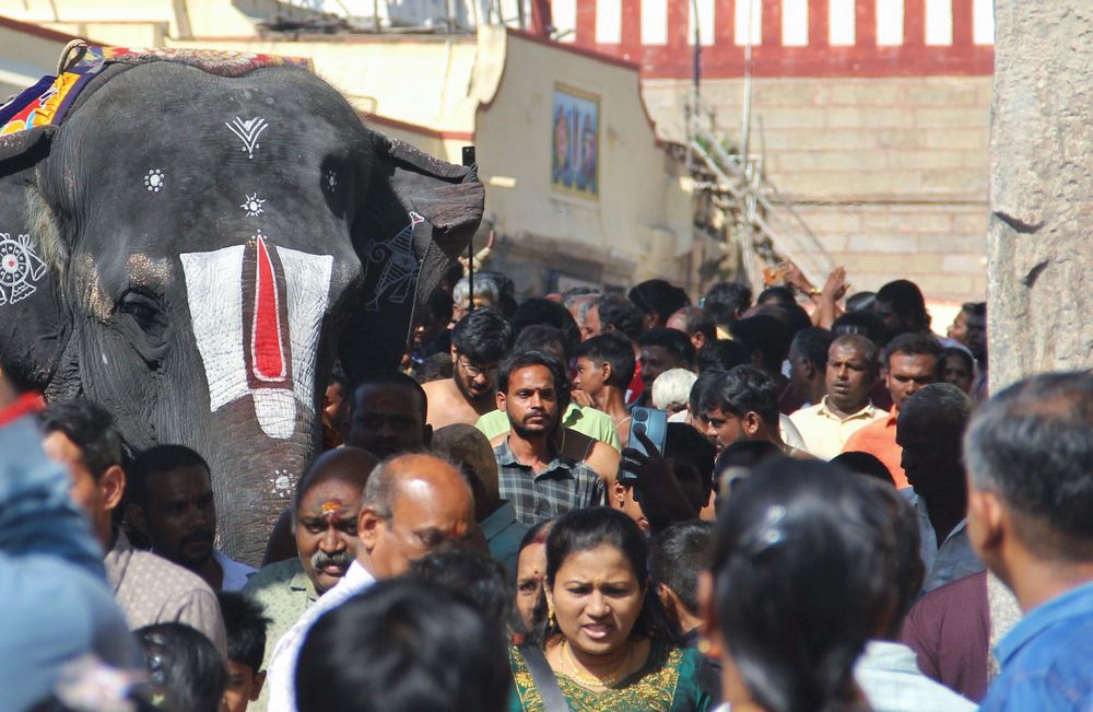 Фотография автора Gopinath Murugesan