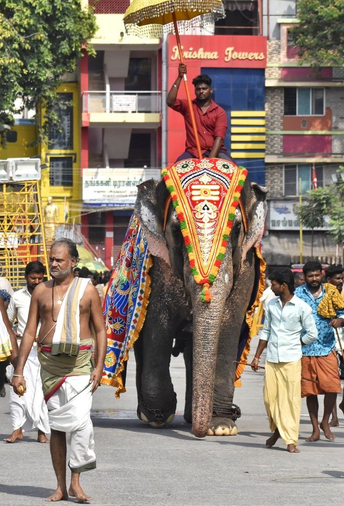 Фотография автора Gopinath Murugesan