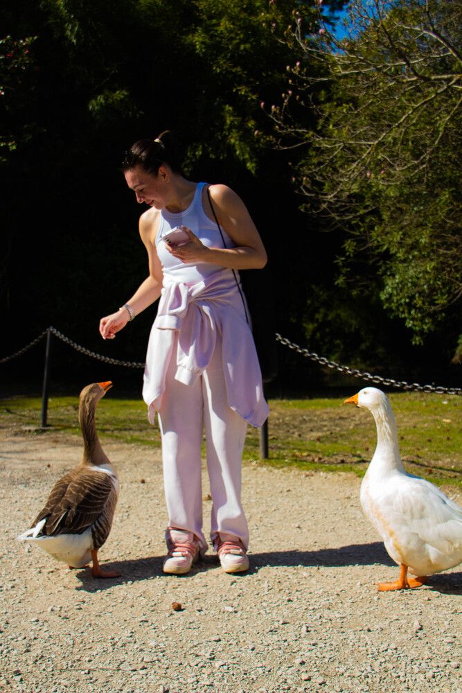 Photograph by Наталья Веряскина