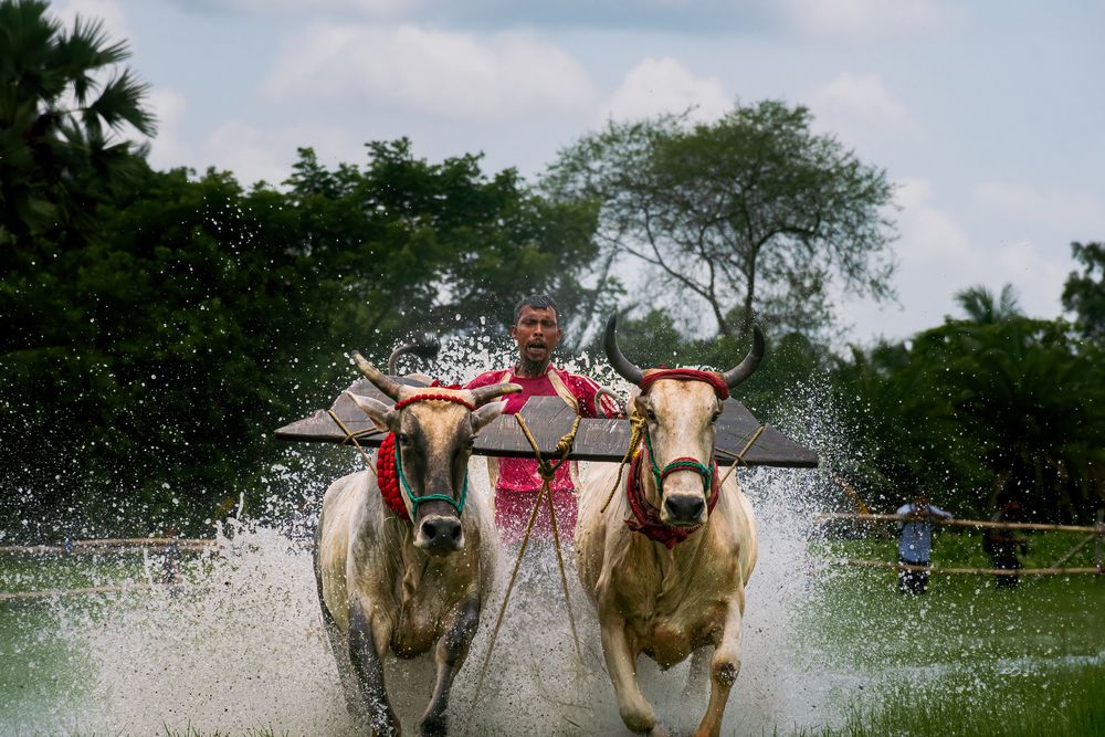 Photograph by Shrinjoy Maiti