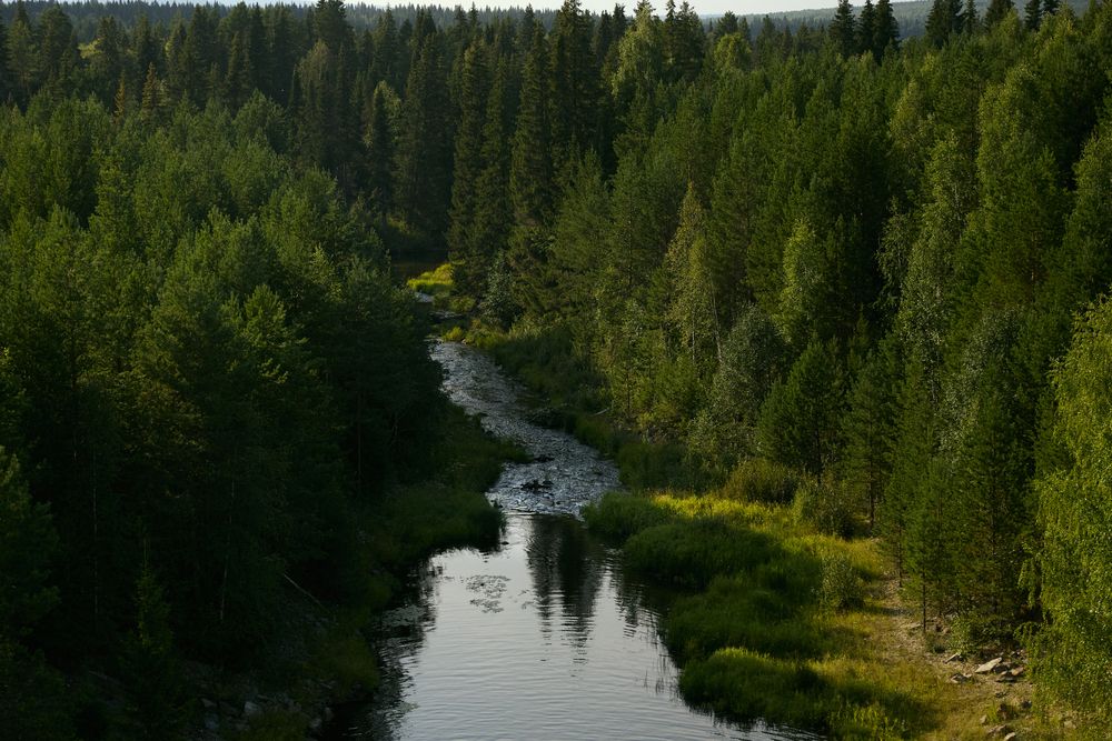 Photograph by Эмиль Акчурин