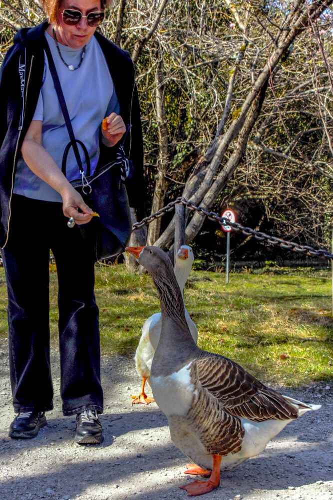 Photograph by Наталья Веряскина
