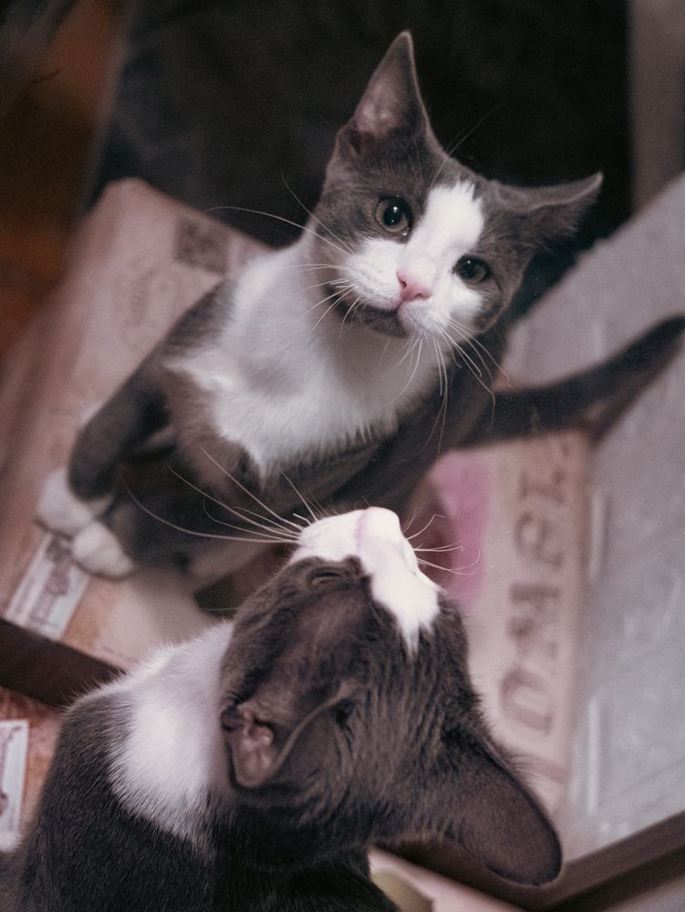 Photograph by Михаил Конте