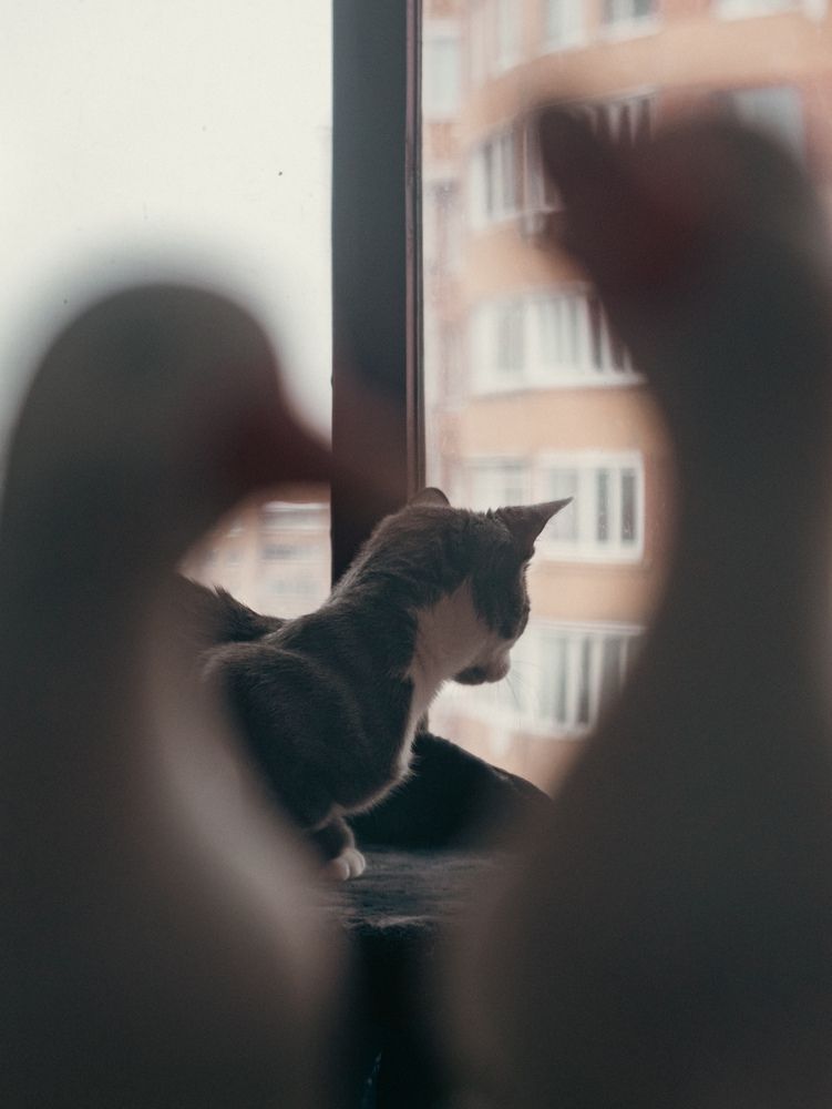 Photograph by Михаил Конте