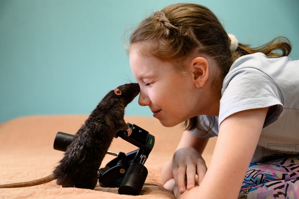 Фотография автора Станислав Левандовский