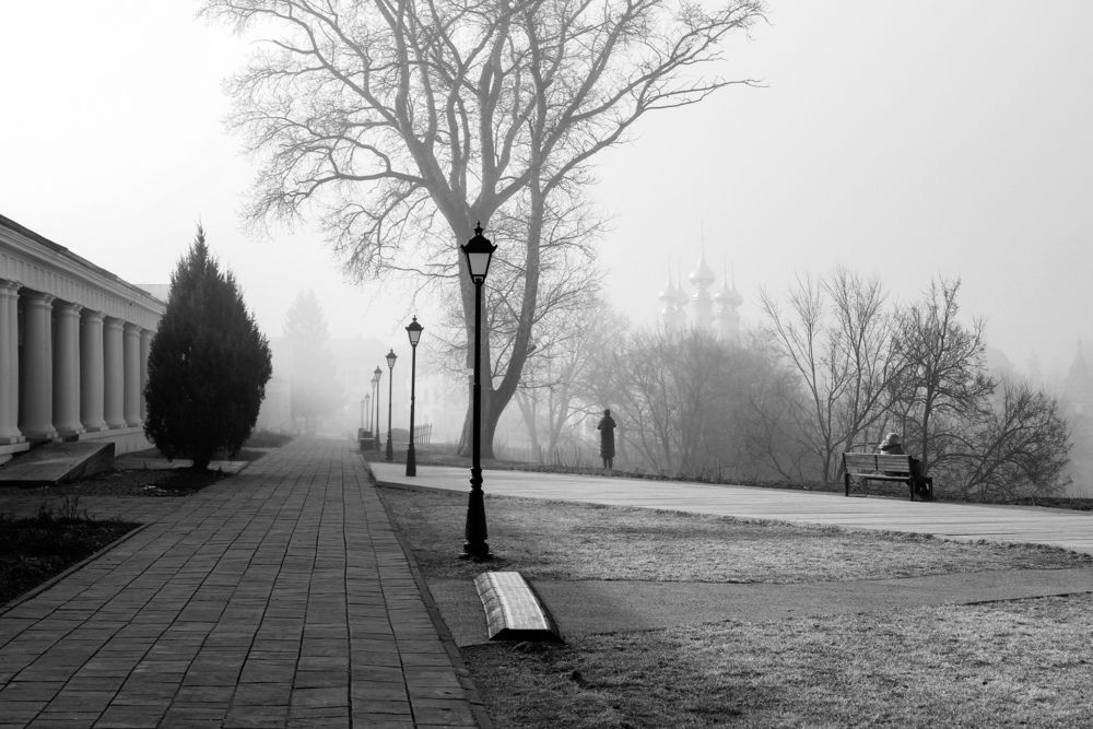 Photograph by Елена Карпухно