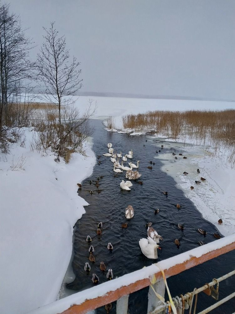 Photograph by Оксана Никифорова