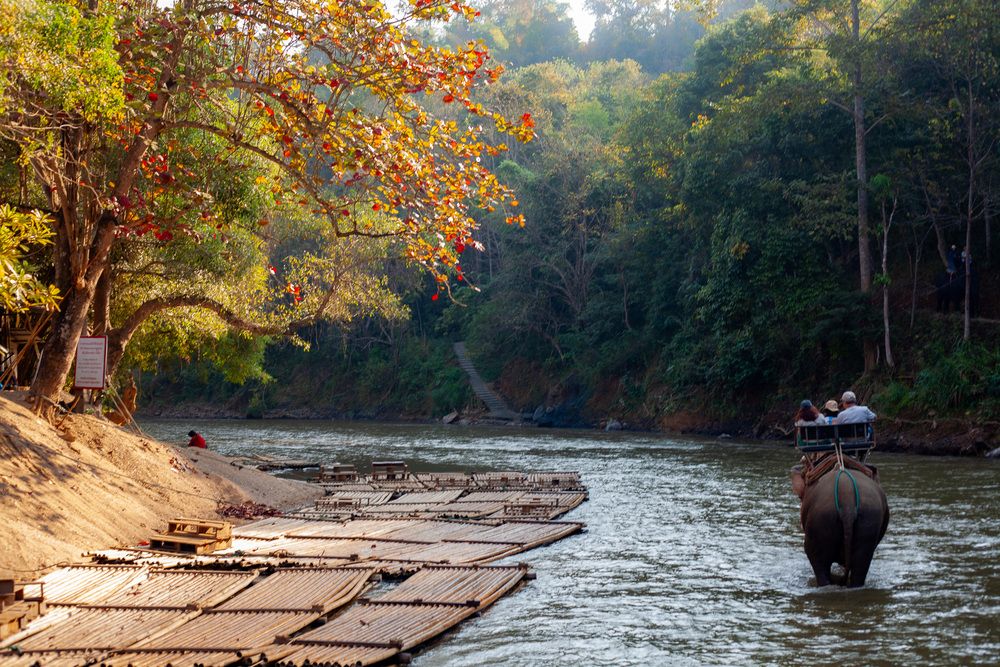 Photograph by Трегубов Лада