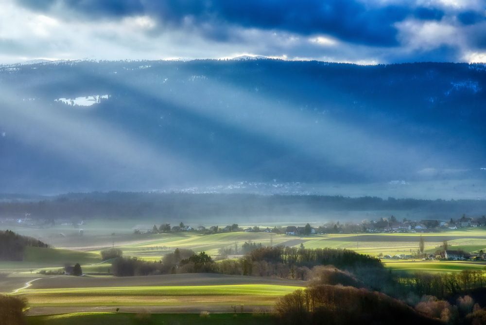 From my office window