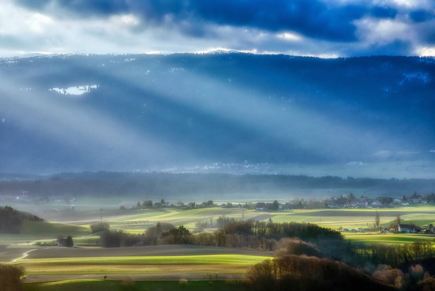 From my office window