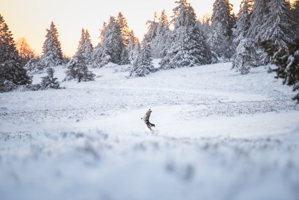 Photograph by Julia Laatz