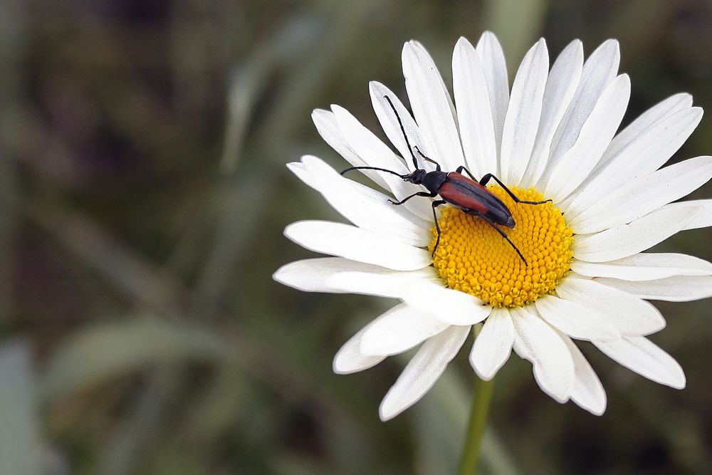 Photograph by Сергей Черных