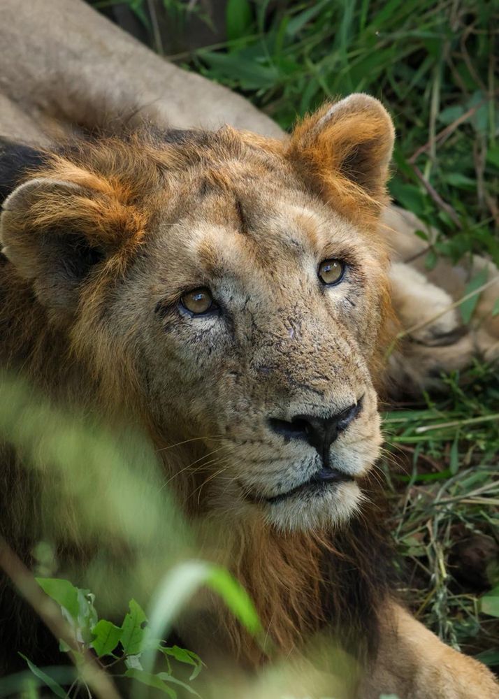 Photograph by Jainamkumar Patel