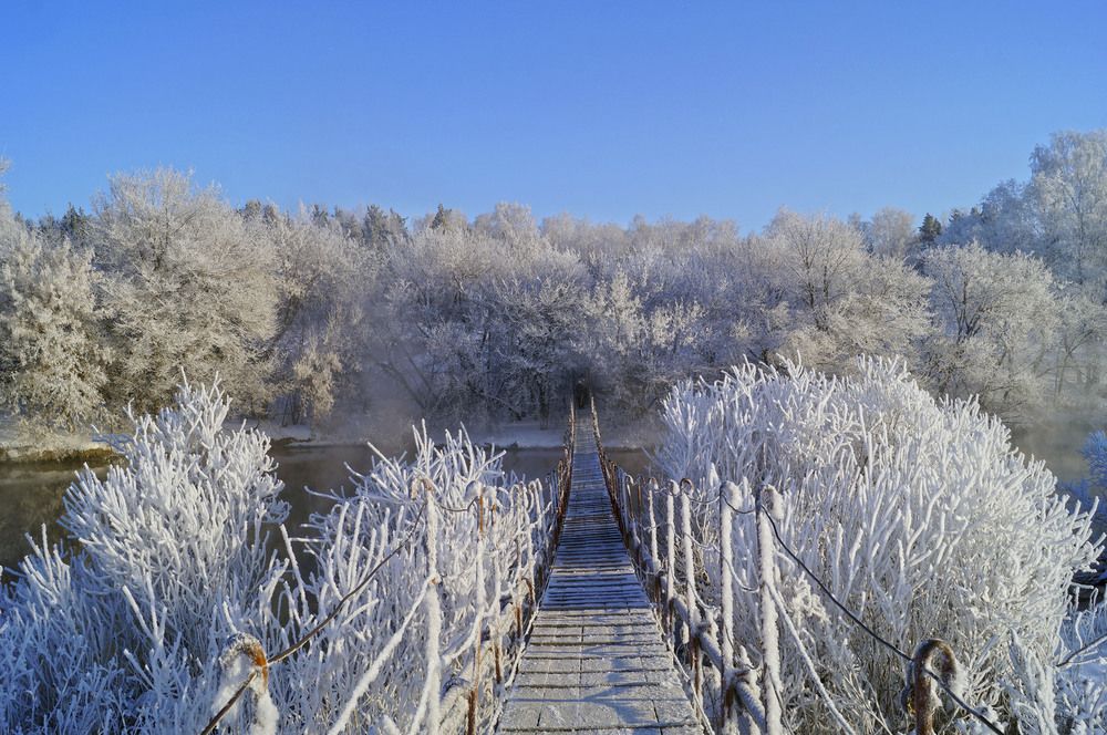 Фотография автора Мишустина Татьяна