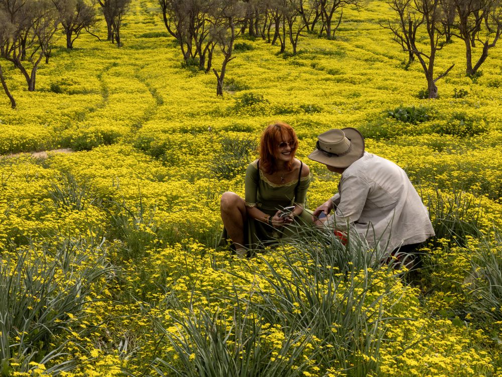 Photograph by Светлана Ханина