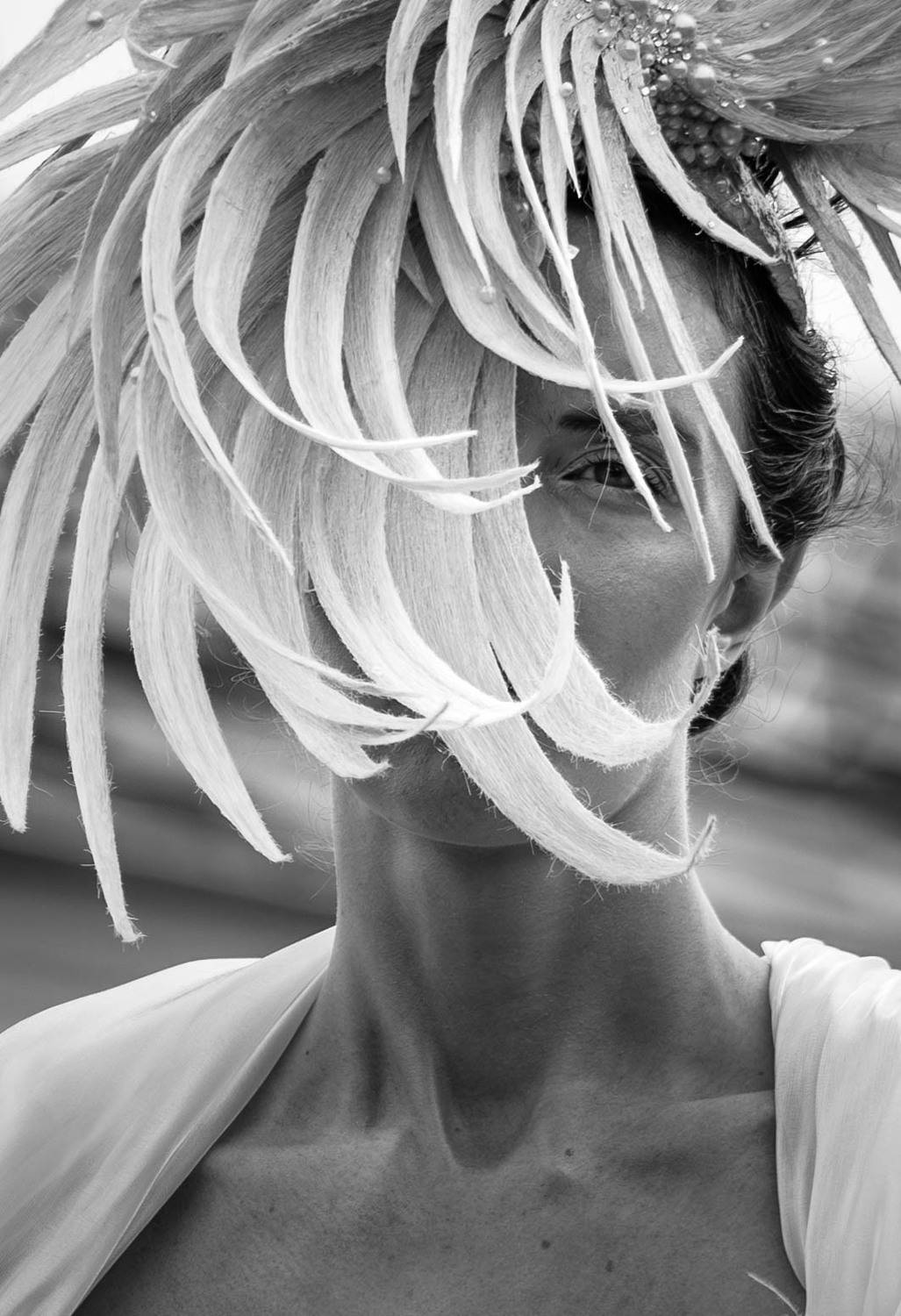 Photo #13307114