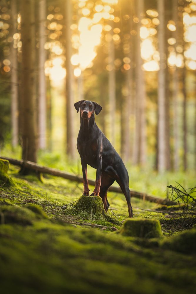 Photograph by Julia Laatz