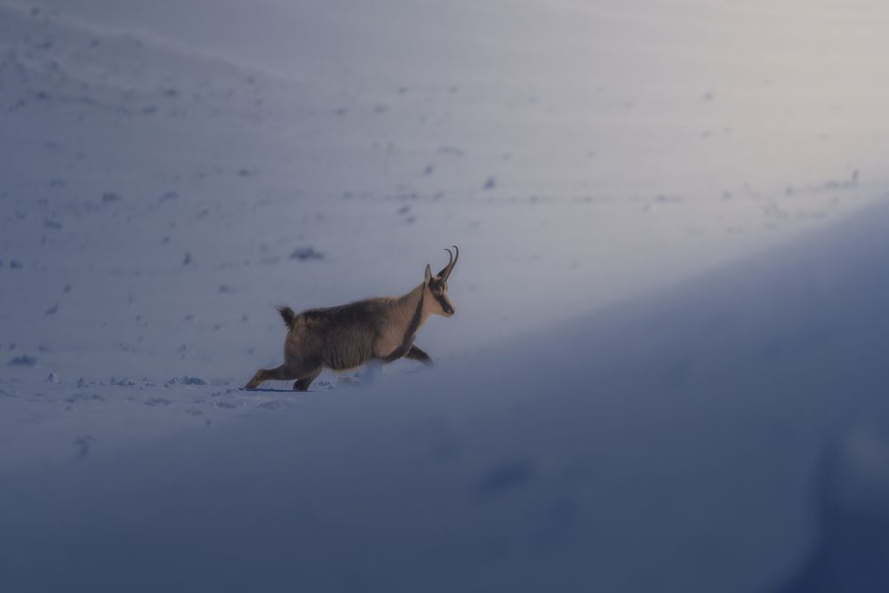 Photograph by Domenico Marrano