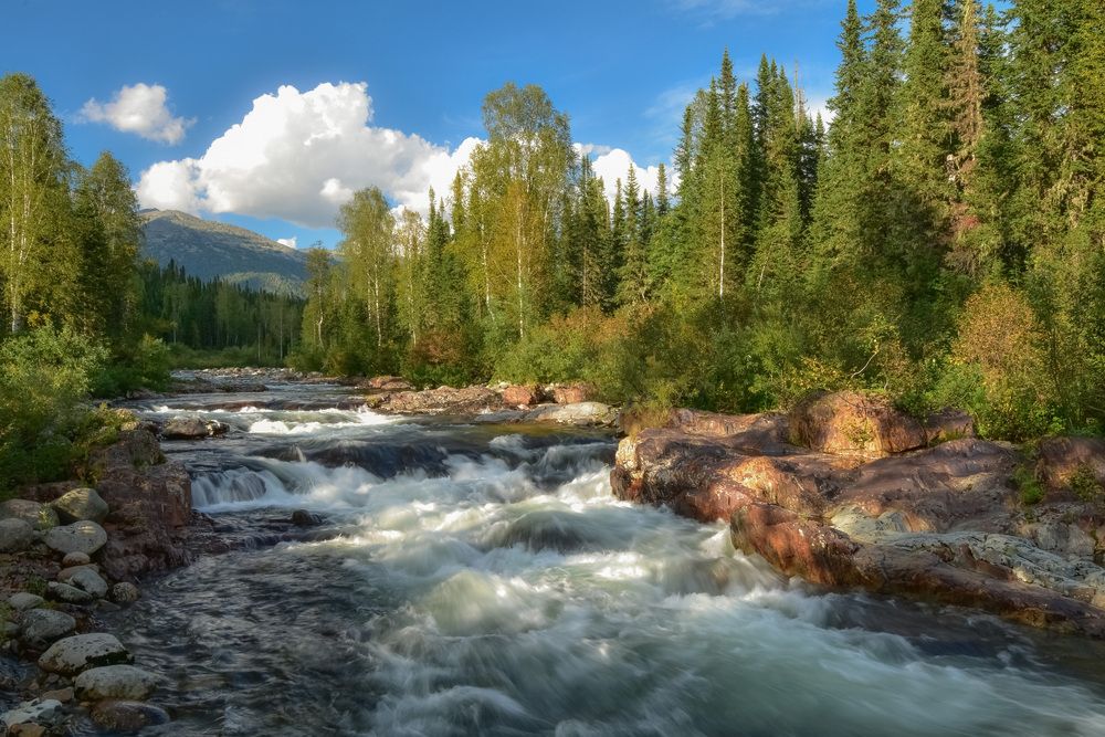 Река Малый Казыр в Кузнецком Алатау