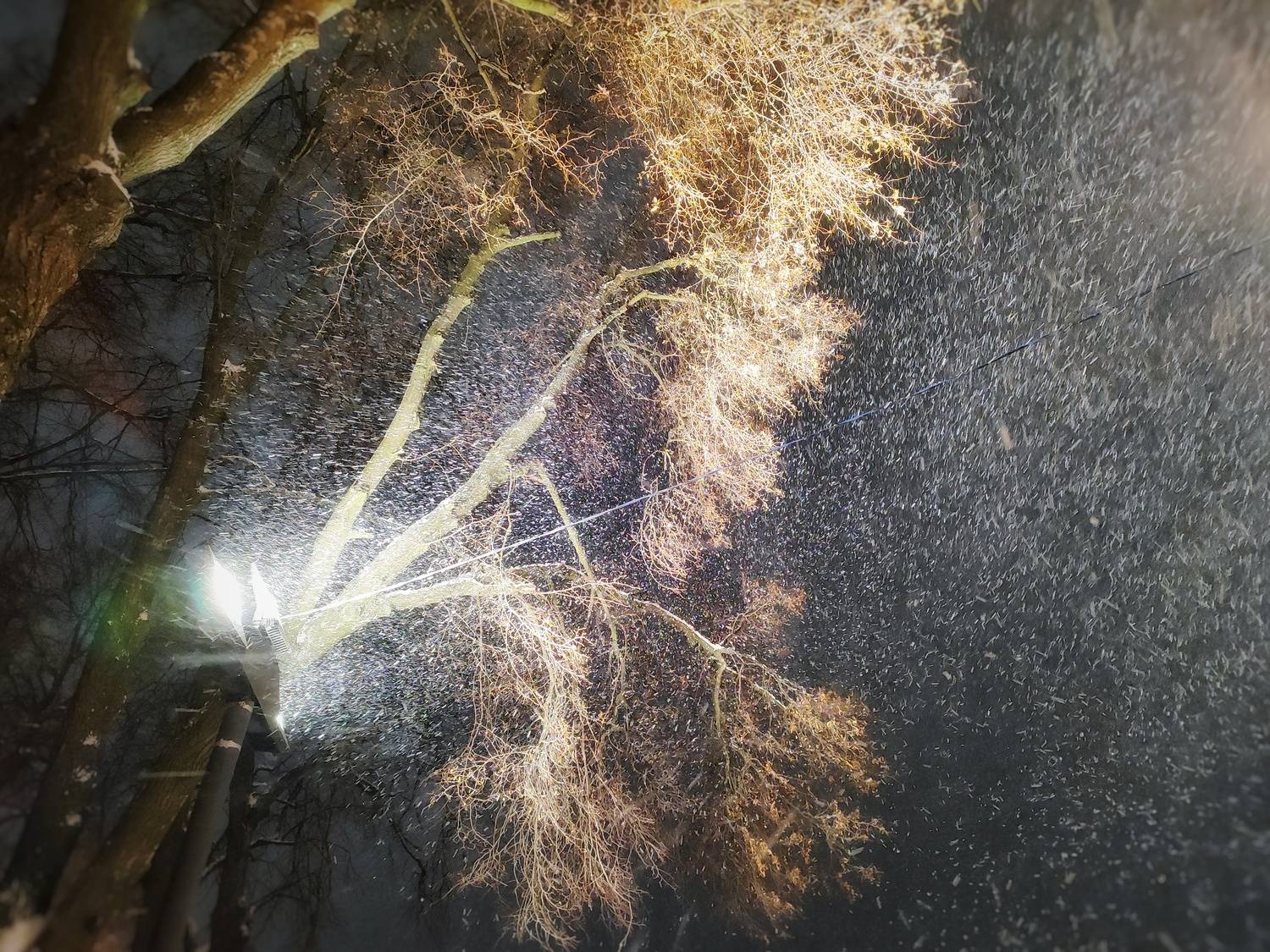 Танец снега