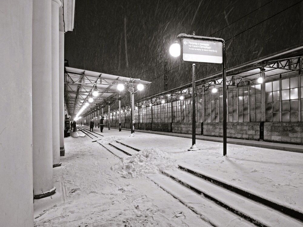 Photograph by Елена Гуляева