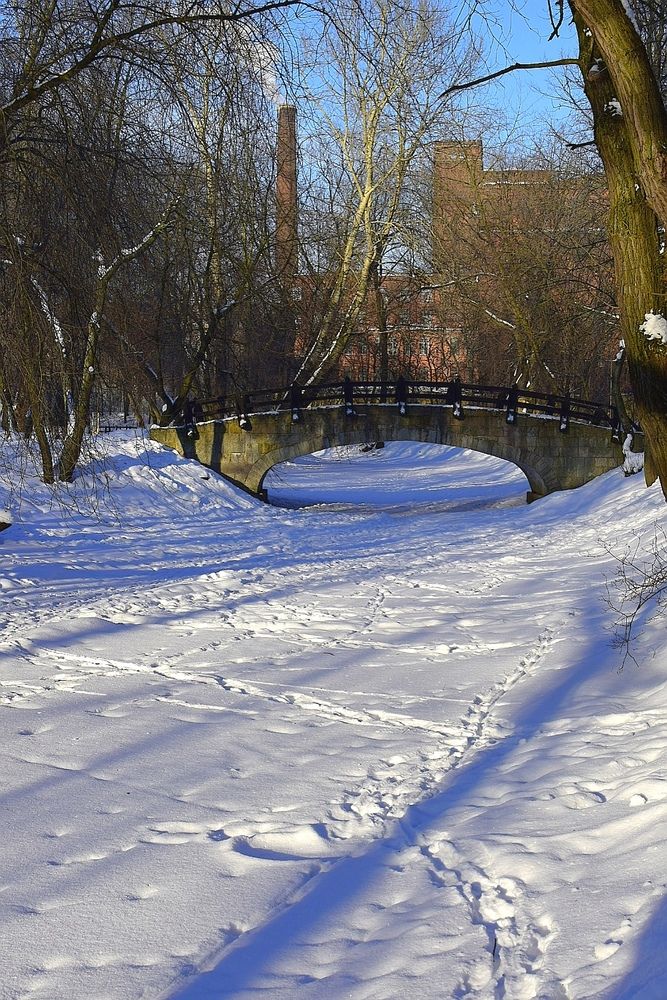 Фотография автора Альбина Хвастунова