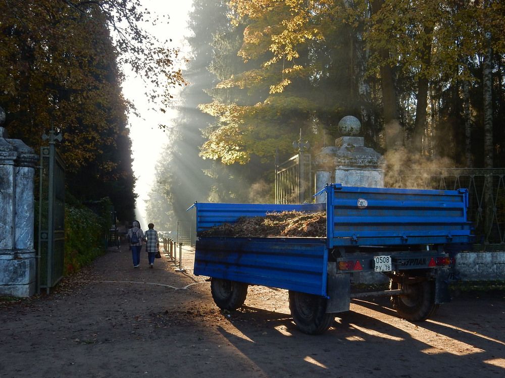 Photograph by Елена Гуляева
