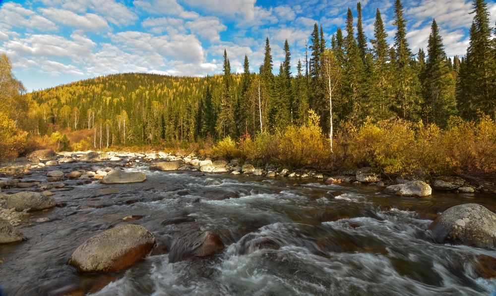 Осень на реке Малый Казыр