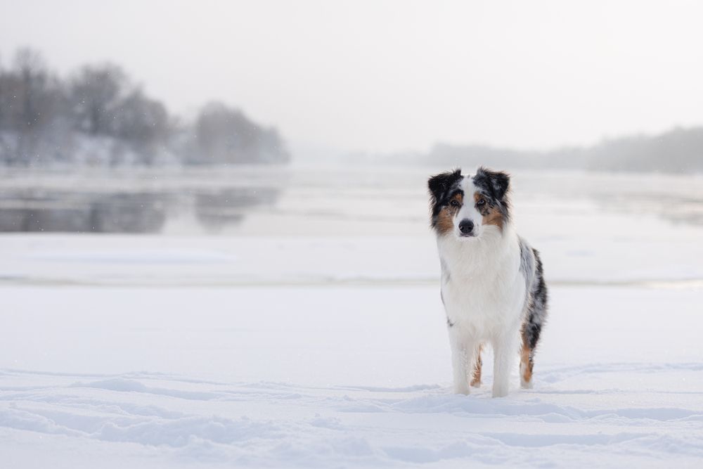 Photograph by Шерскова Мария