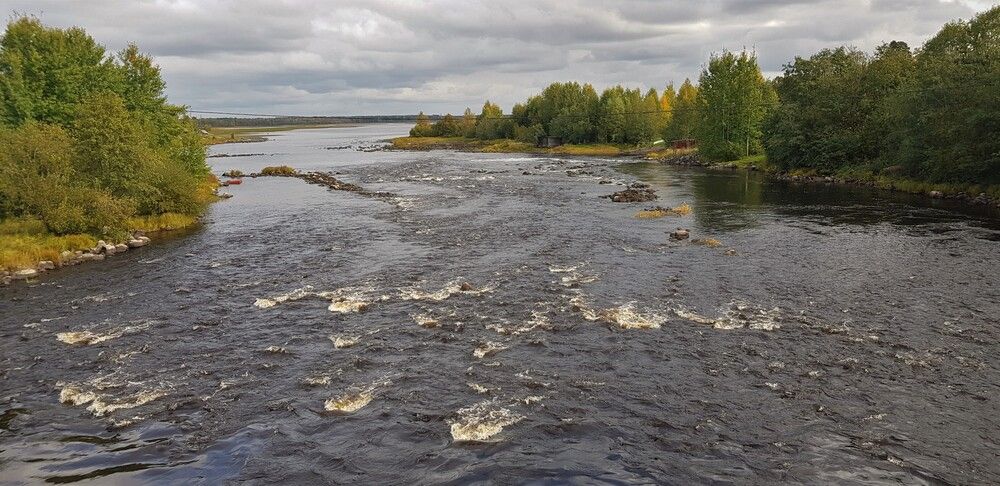 Photograph by Любовь Фёдорова