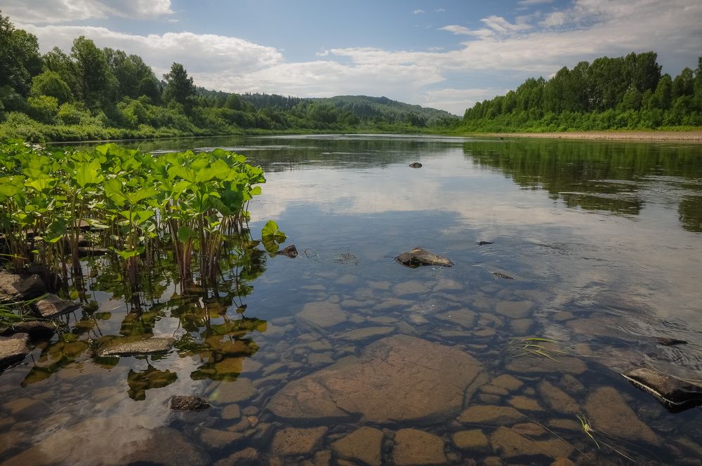 Июль. На реке Кондома