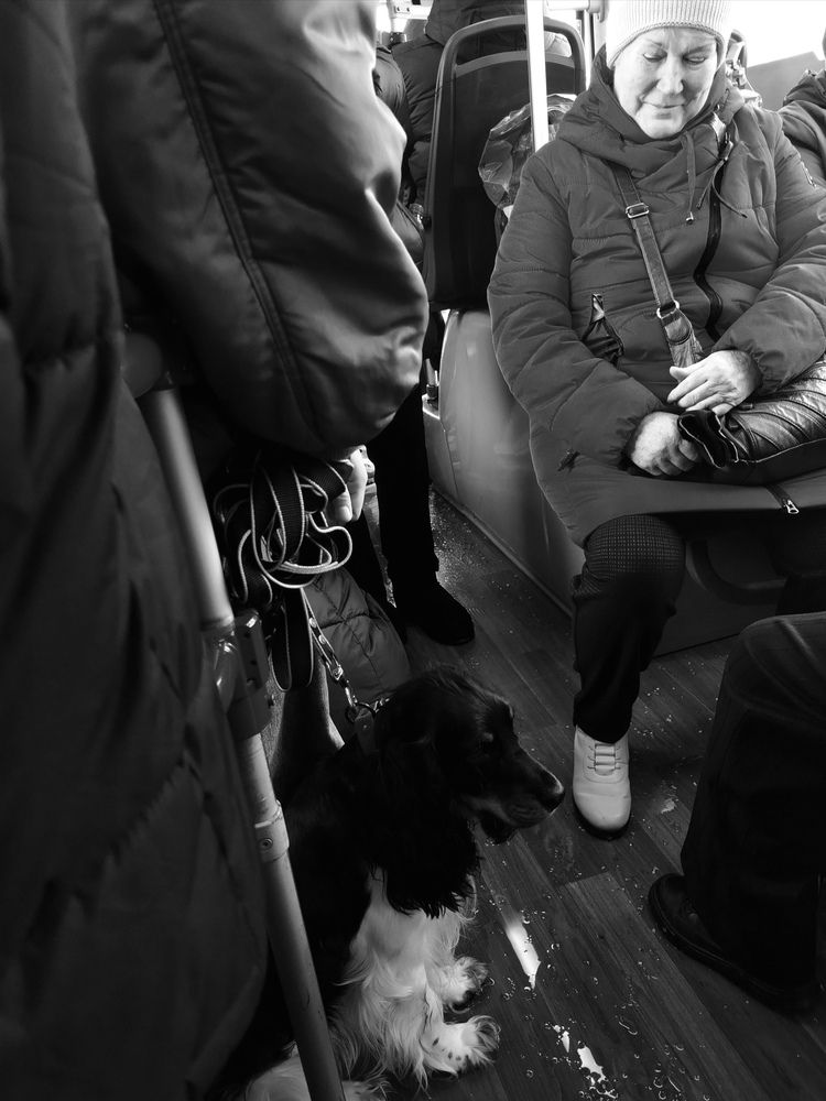 Photograph by Анастасия Туркина